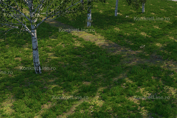 Montaj-Soclu-Anim-Small